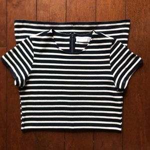 Everlane Navy Striped Dress